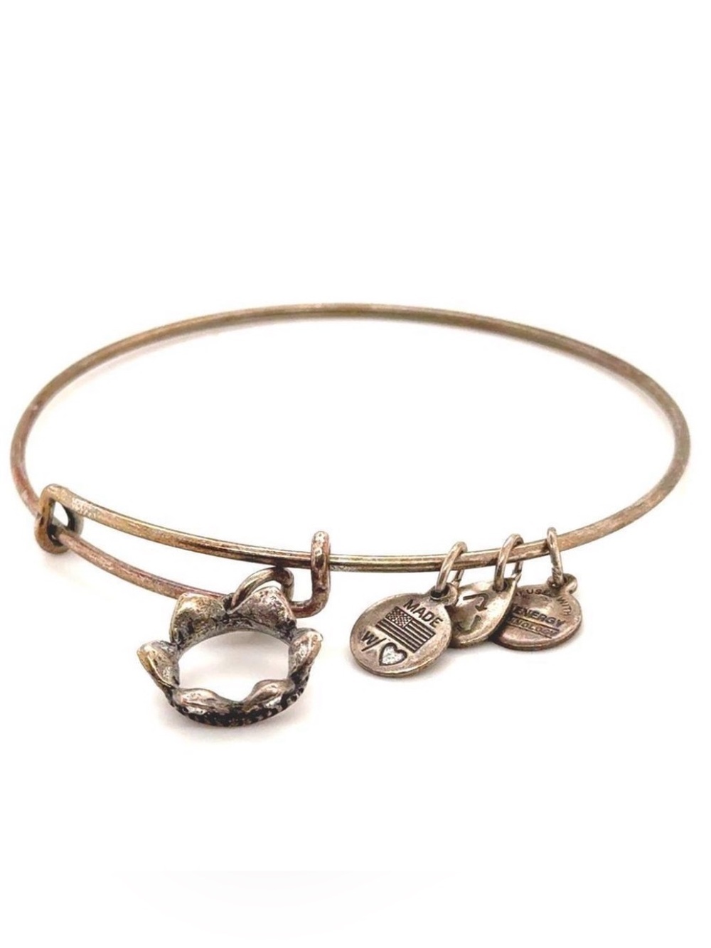 Alex and Ani Queen’s Crown Silver Bracelet